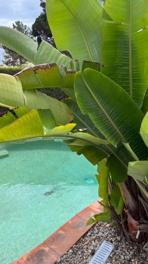 Casal do Narcizo Ocean, Surf, Golf Private Villa With Pool Near Lagoon מראה חיצוני תמונה